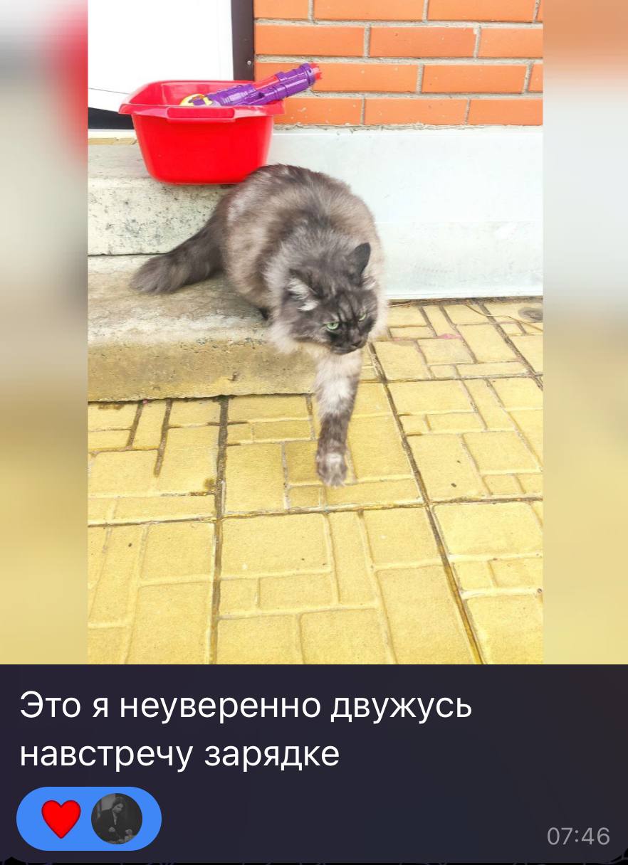Мои уже победители 💪🏻✨ доска почета просто обязана быть здесь ♥️
Горжусь, что вы сегодня были со мной 🫶🏻
А кто не пришел на зарядку, тот зря😏 в клубе будет разбирать тему «Волосы» и все супер средства... | Сетка — социальная сеть от hh.ru