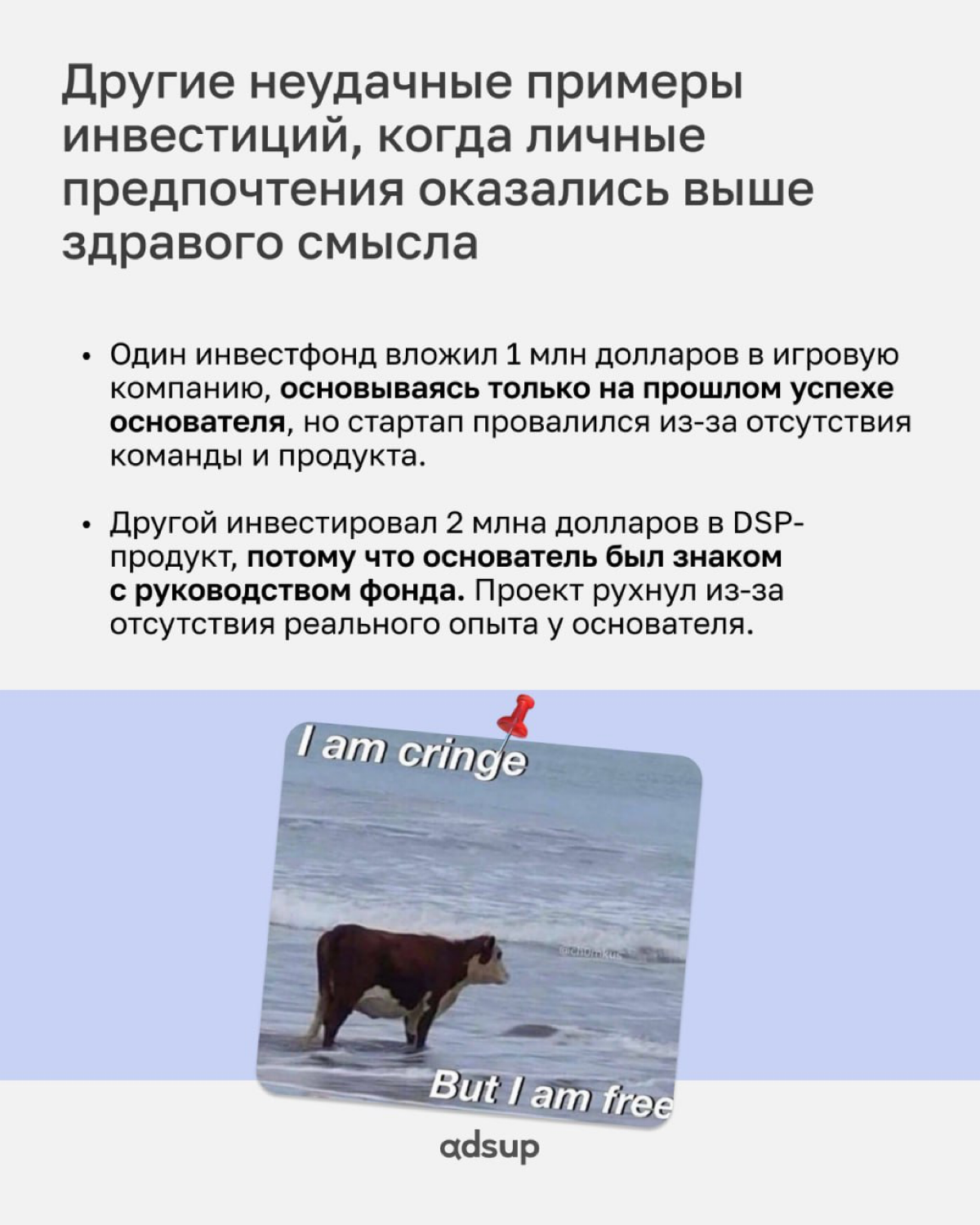 Почему инвесторы вкладываются в развитие молодых платформ? Причин оказалось достаточно: уникальные бизнес-модели, новейшие алгоритмы, быстрый рост и понятная схема монетизации | Сетка — социальная сеть от hh.ru