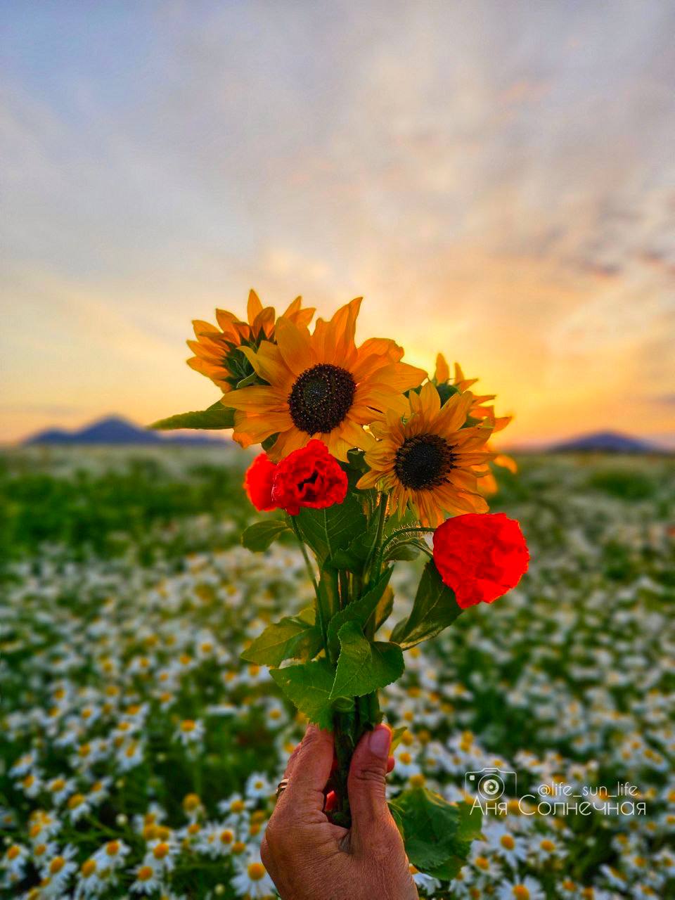 😍 Невероятная цветочная поляна на КМВ
📸 lifesunlife | Сетка — социальная сеть от hh.ru