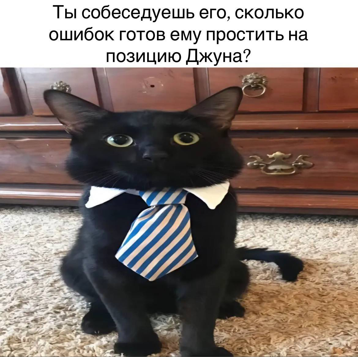 Мой опыт со собесов стороны интервьюера | Сетка — социальная сеть от hh.ru