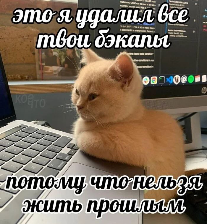 Мем начала рабочей недели | Сетка — социальная сеть от hh.ru