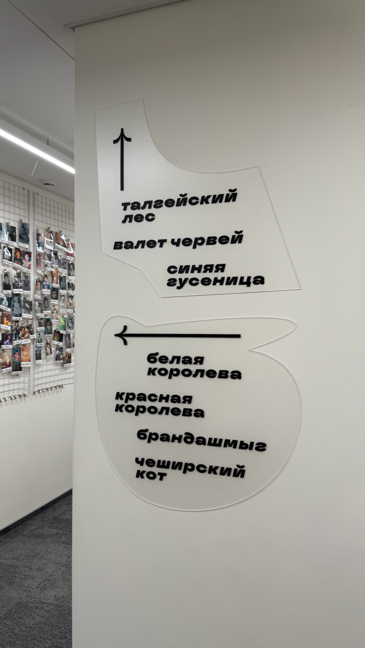 Немного рабочего вайба
#работа | Сетка — социальная сеть от hh.ru