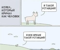 Доброе утро, коллеги.
#вр | Сетка — социальная сеть от hh.ru