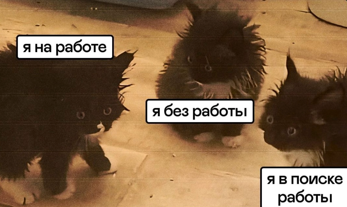 Состояние души - 3 кота😄 | Сетка — социальная сеть от hh.ru