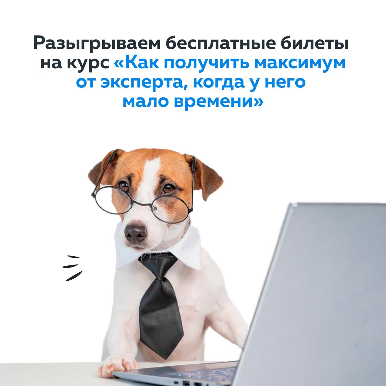 «Скинь вопросы на почту, я потом отвечу»
«У меня 15 минут — давайте быстро»
Знакомо?)
Вы пришли за экспертизой, а в ответ — односложные фразы | Сетка — социальная сеть от hh.ru