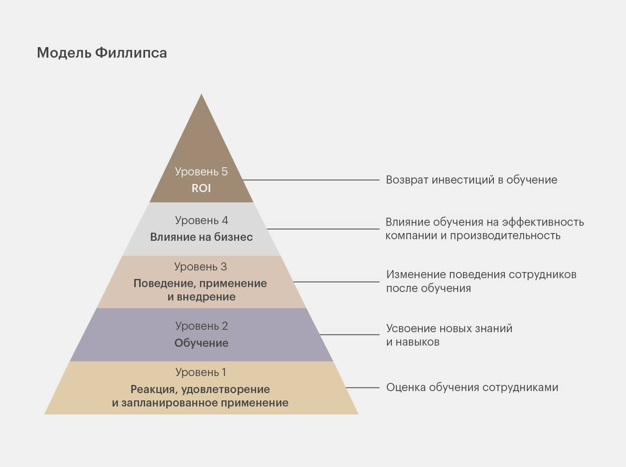 Как посчитать ROI обучения сотрудников? | Сетка — социальная сеть от hh.ru