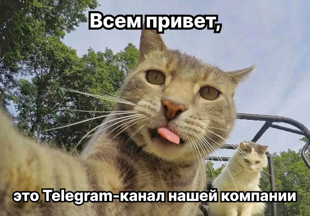 Простите, не могу молчать:)))
Но так как это полезный канал, то в посте будут не только крики восхищения, но и анализ ситуации.
😎Поговорим про корпоративные соцсети и тг-каналы | Сетка — социальная сеть от hh.ru