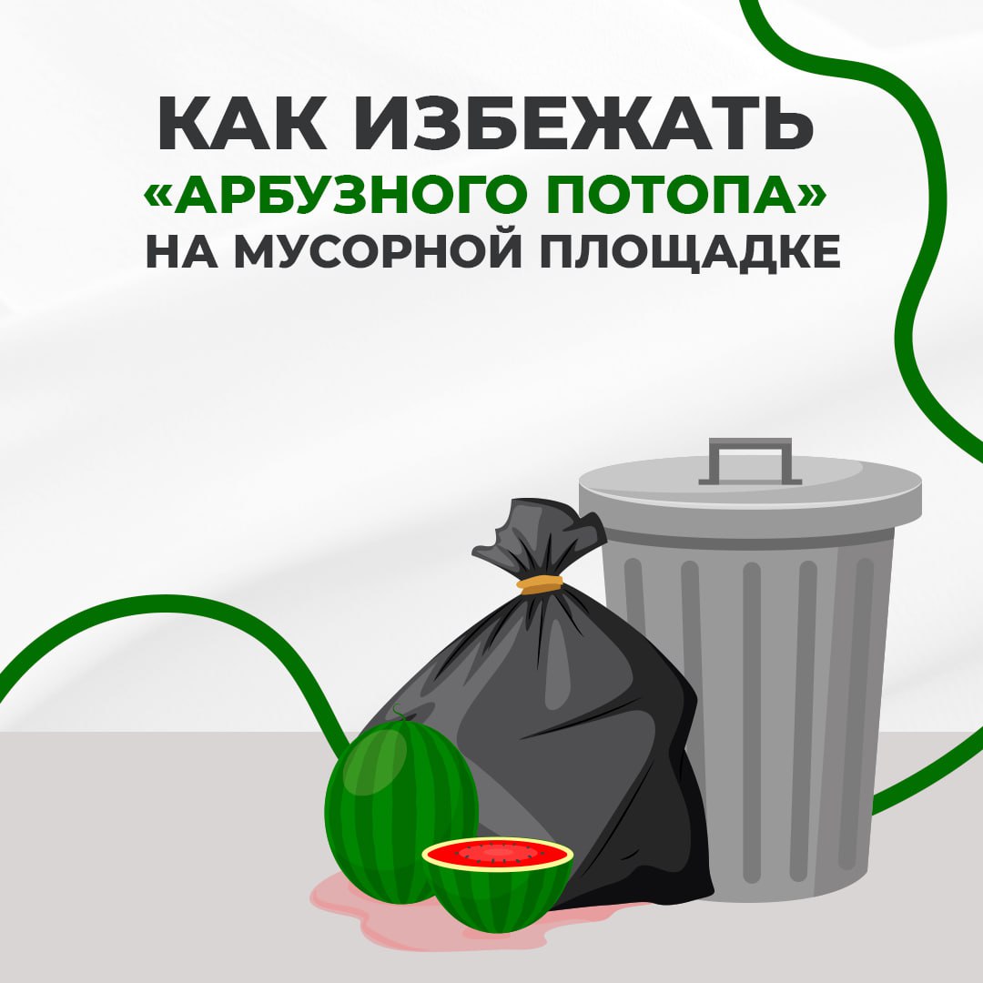 Арбузы и дыни создают «арбузный потоп»🍉
За счёт испортившихся фруктов и овощей летом на мусорных площадках Ставрополья появляются подтёки и неприятный запах | Сетка — социальная сеть от hh.ru