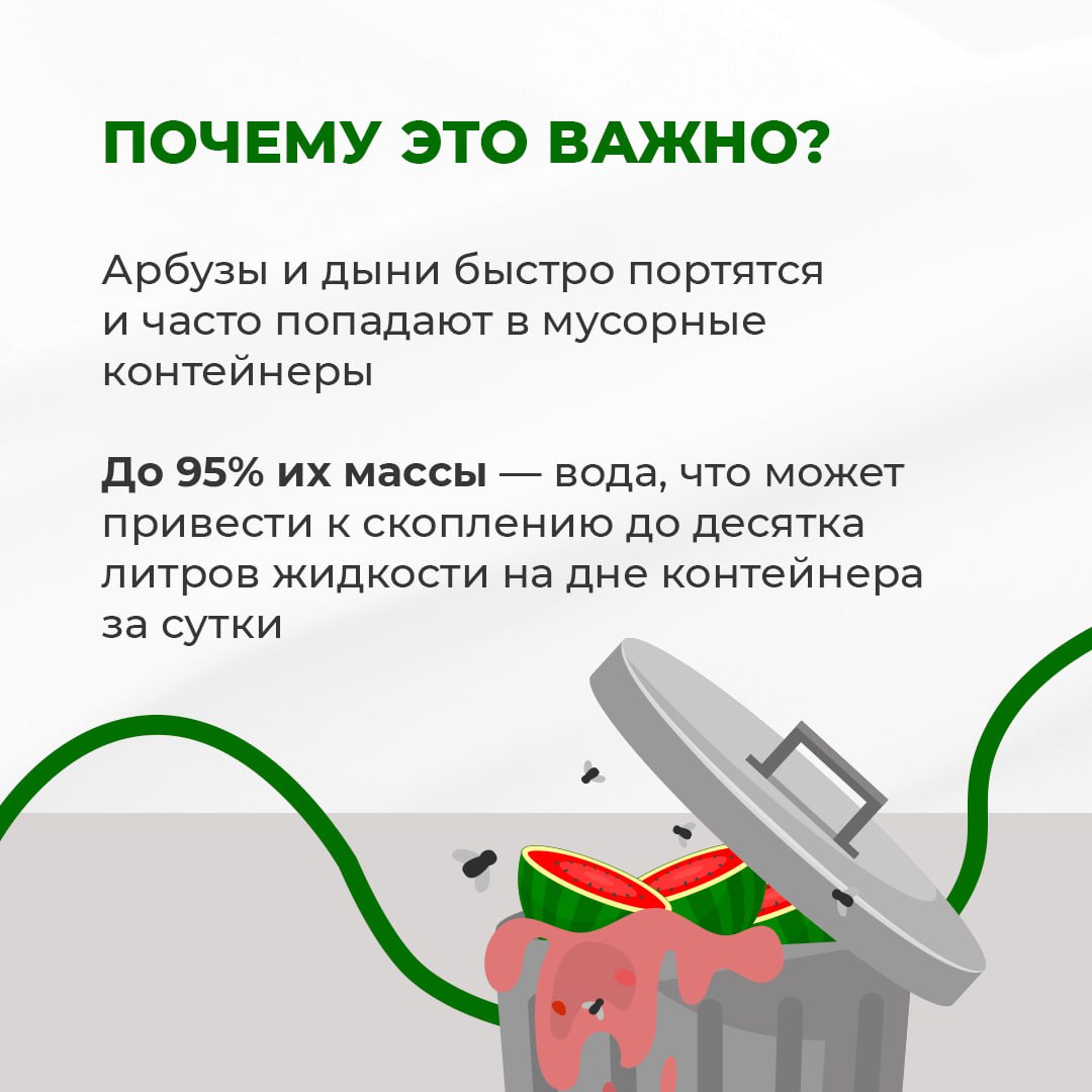Арбузы и дыни создают «арбузный потоп»🍉
За счёт испортившихся фруктов и овощей летом на мусорных площадках Ставрополья появляются подтёки и неприятный запах | Сетка — социальная сеть от hh.ru