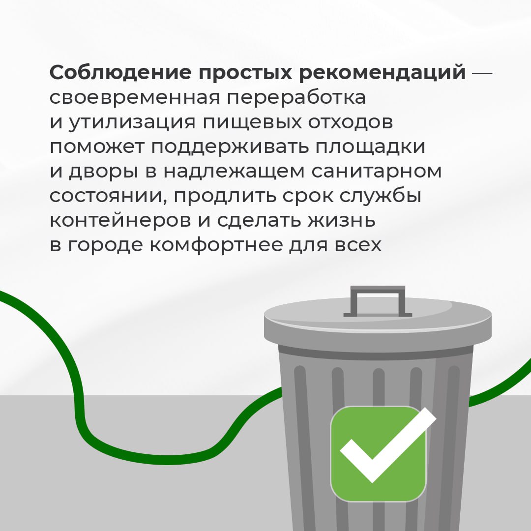 Арбузы и дыни создают «арбузный потоп»🍉
За счёт испортившихся фруктов и овощей летом на мусорных площадках Ставрополья появляются подтёки и неприятный запах | Сетка — социальная сеть от hh.ru