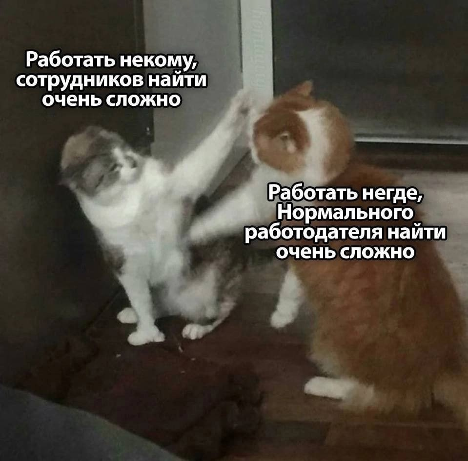 Сетка — социальная сеть от hh.ru