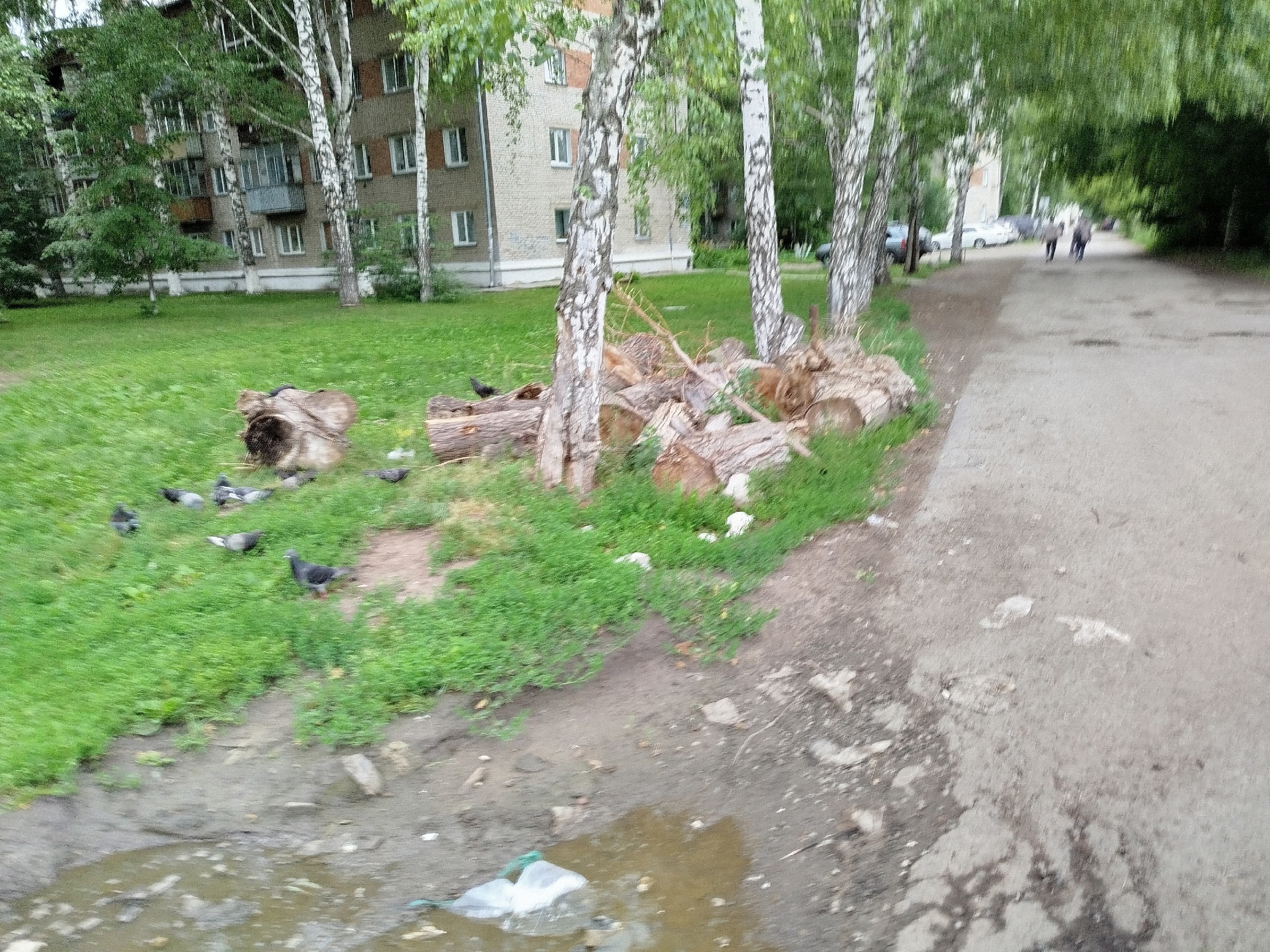 Утром едешь, не поймёшь.
Толи в Европе мы живём.
Нет. Мы её перешагнули.
Мы в толерантность окунулись.
Там все вместе в туалет.
Мы же круче. Перекрёсток есть.
Там стоят два унитаза | Сетка — социальная сеть от hh.ru