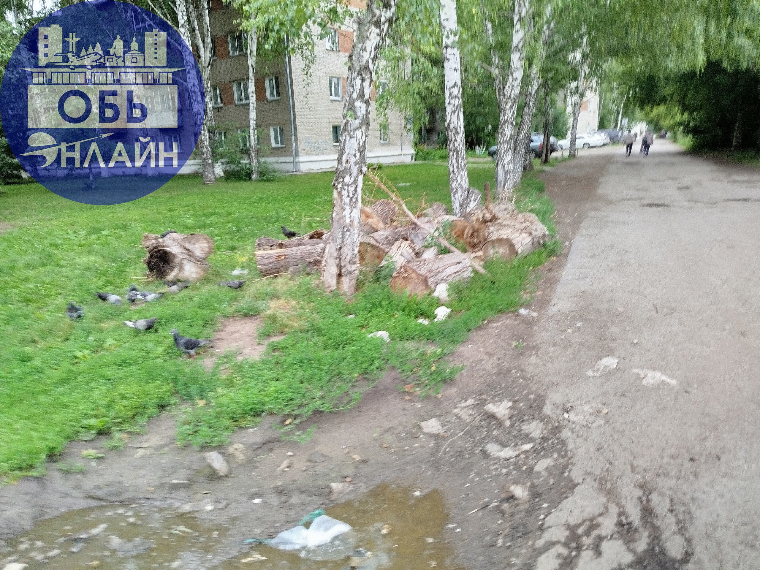 ↗ Утром едешь, не поймёшь.
Толи в Европе мы живём.
Нет. Мы её перешагнули.
Мы в толерантность окунулись.
Там все вместе в туалет.
Мы же круче. Перекрёсток есть.
Там стоят два унитаза | Сетка — социальная сеть от hh.ru