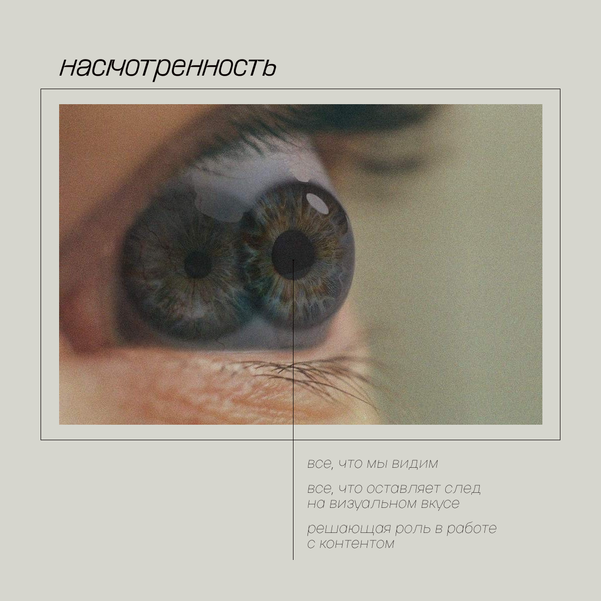 Насмотренность, шо гэт такое 🤔 | Сетка — социальная сеть от hh.ru