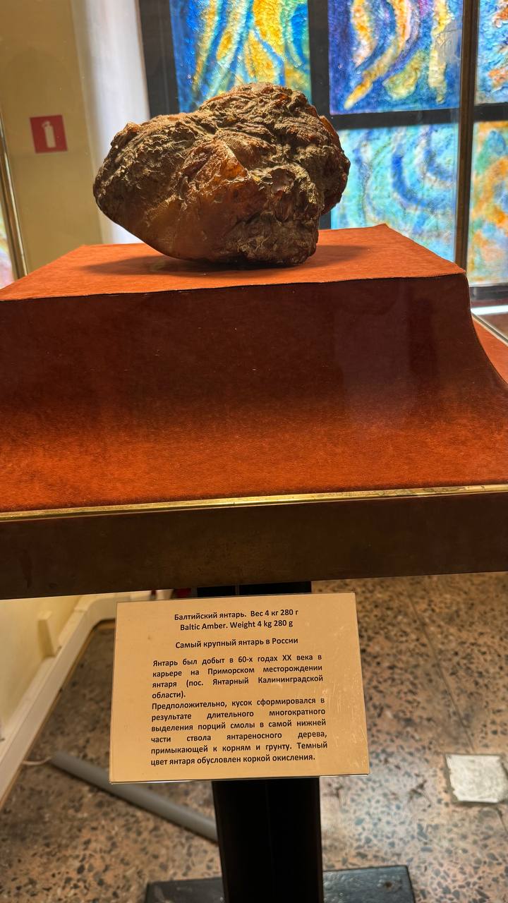 🟠 МУЗЕЙ ЯНТАРЯ: история, весомая на килограммы
Когда ты в Калининграде — пройти мимо этого места невозможно. Старинный бастион превращён в настоящее святилище солнечного камня | Сетка — социальная сеть от hh.ru
