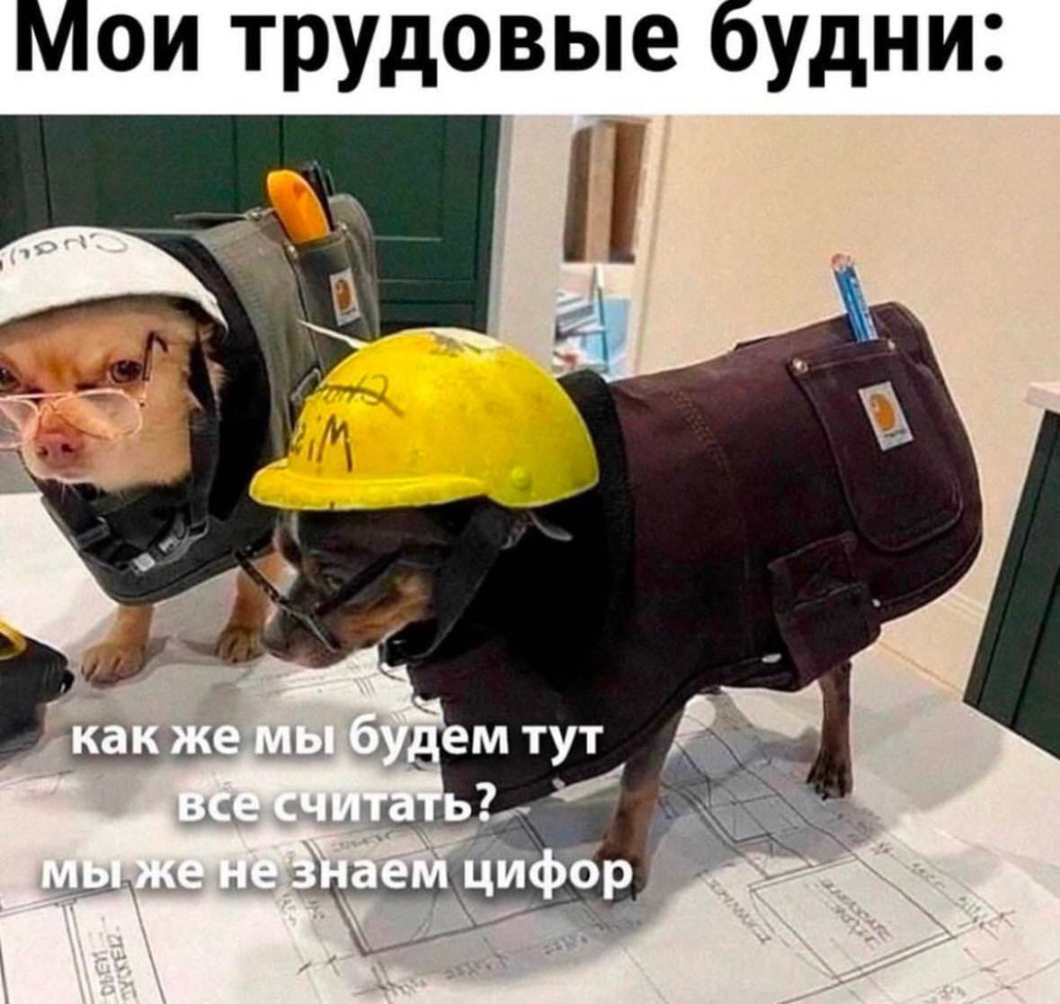 Собеседование в МГЭ 🥇🫡😉 | Сетка — социальная сеть от hh.ru