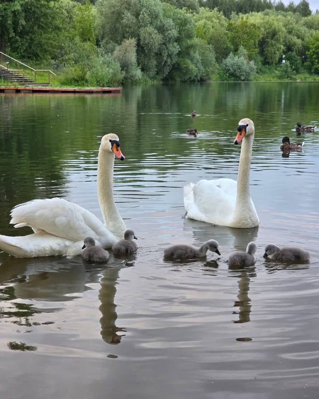 🌳Ландшафтный парк «Митино»
Круглосуточно
В парке «Митино» есть всё для разнообразного отдыха: волейбольные площадки, пункты питания, скейт-парк, скамейки, тренажёры, а также удобные пешеходные, беговы... | Сетка — социальная сеть от hh.ru