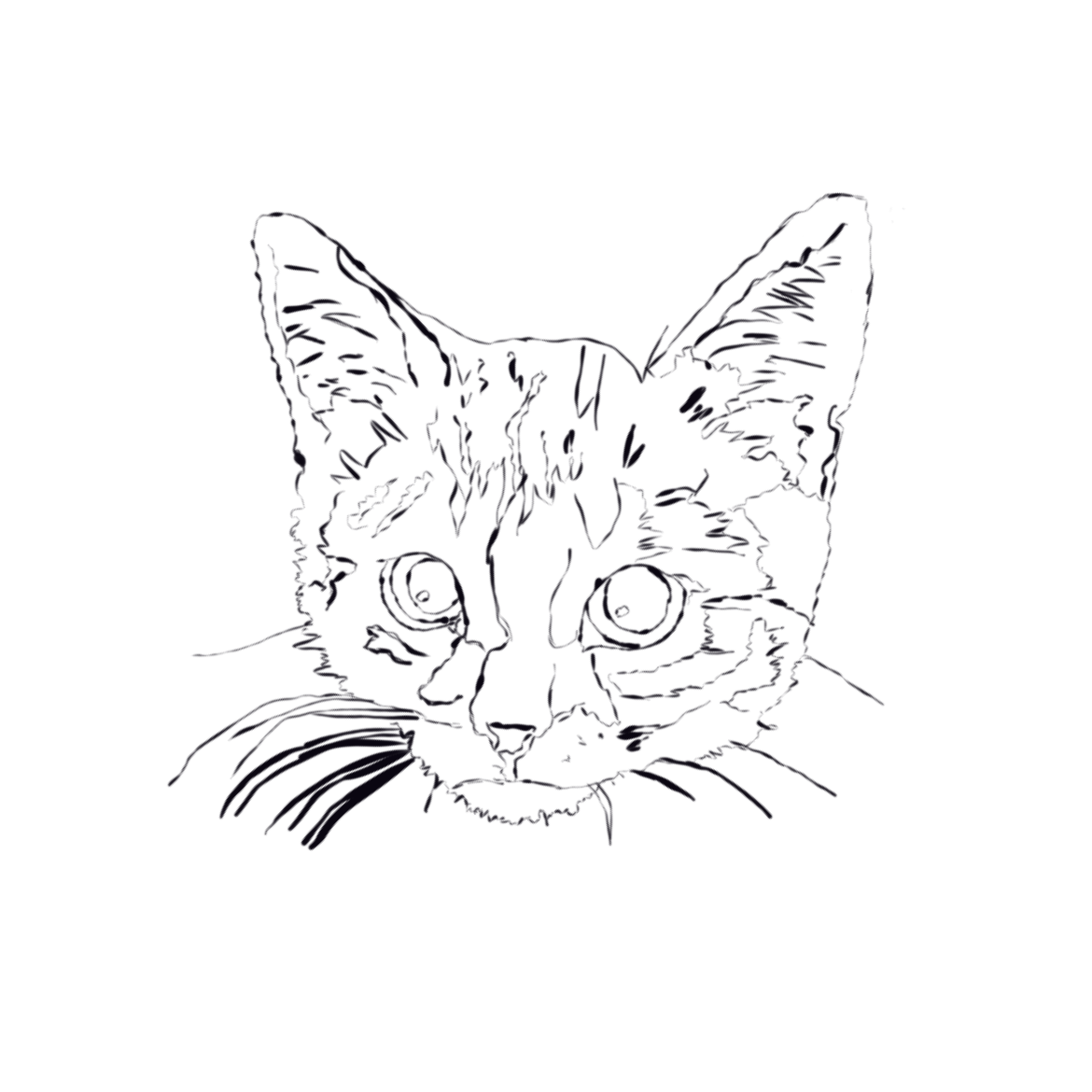 Мой первый рисунок стилусом | Сетка — социальная сеть от hh.ru