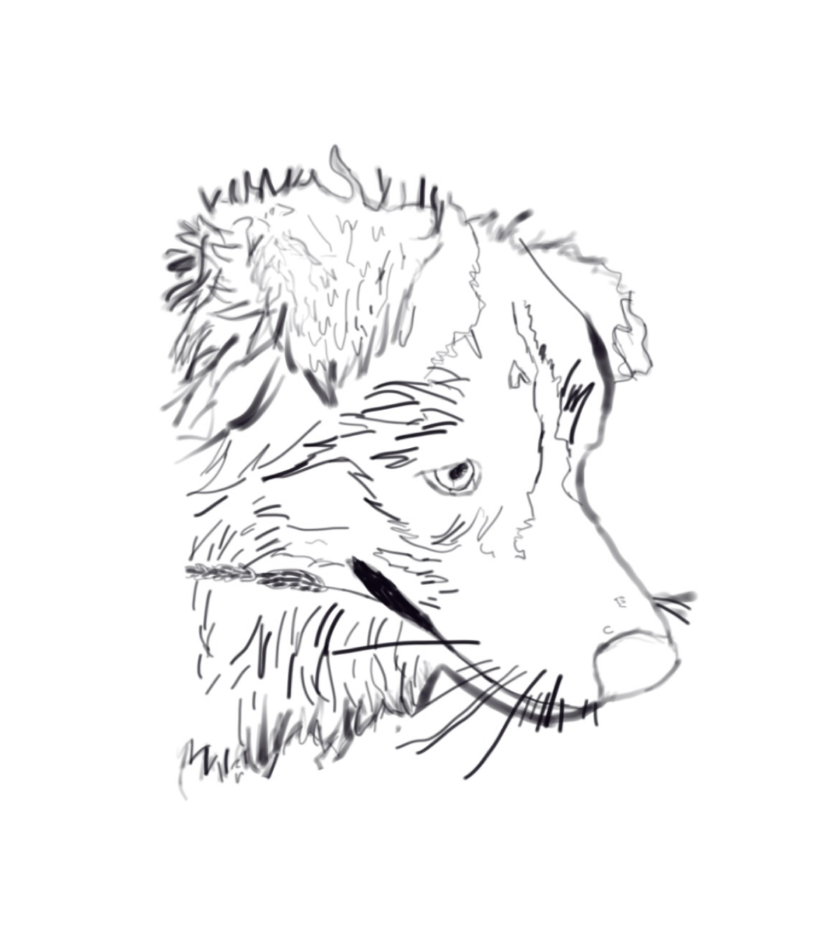 Мой первый рисунок стилусом | Сетка — социальная сеть от hh.ru