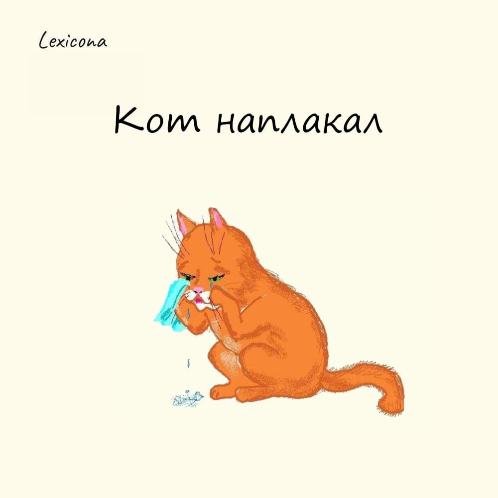 Кот наплакал
Эта фраза появилась из наблюдений за кошками: они не плачут «по-настоящему» – их слёзы служат лишь для увлажнения и защиты глаз, а не для выражения эмоций | Сетка — социальная сеть от hh.ru