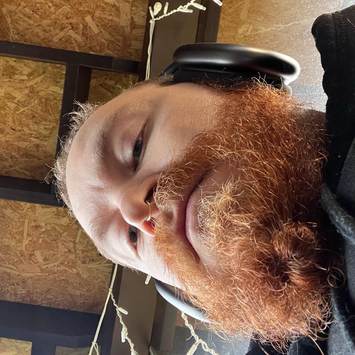 Александр Платонов