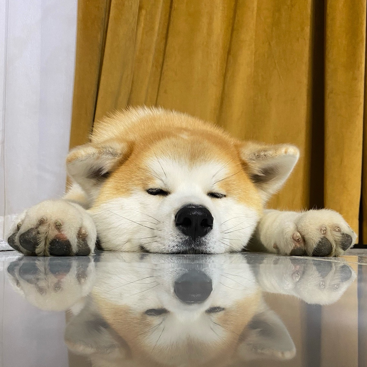 Николай Пыжьянов