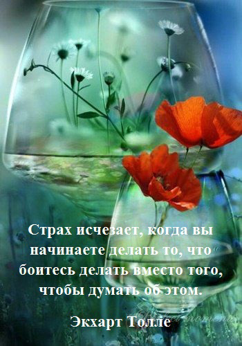 Мотивация на сегодня | Сетка — социальная сеть от hh.ru