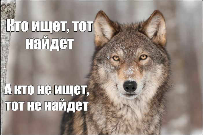 Была вакансия: | Сетка — социальная сеть от hh.ru