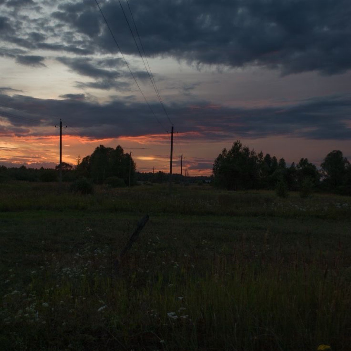 Полина Ананьева | Сетка — социальная сеть от hh.ru