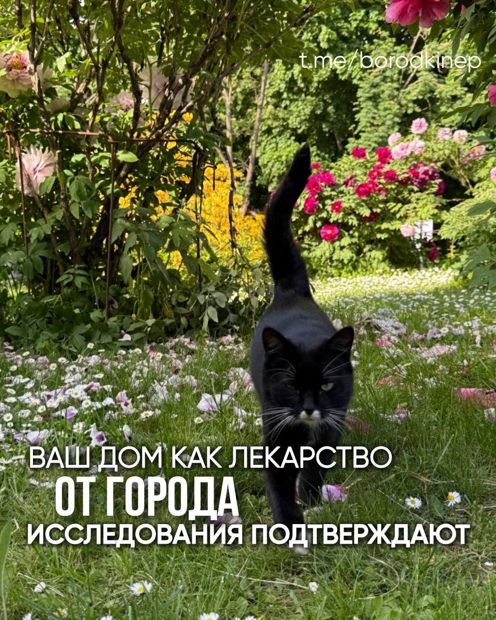 Природа — мощнейший антидот против городского одиночества и стресса!
Исследование Urban Mind от Королевского колледжа Лондона показало, что контакт с природой уменьшает чувство одиночества у жителей м... | Сетка — социальная сеть от hh.ru