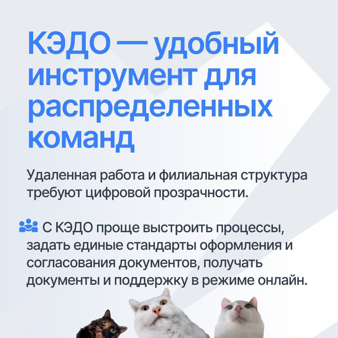 💬 Почему сейчас — лучшее время для перехода на КЭДО?
Сейчас оптимальный период для цифровизации кадровых процессов | Сетка — социальная сеть от hh.ru
