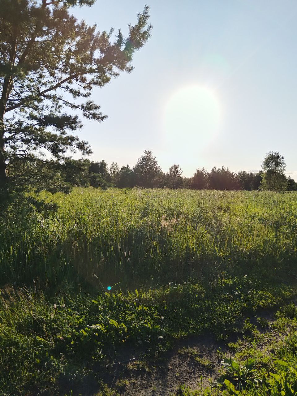 Summer🌼❤ | Сетка — социальная сеть от hh.ru