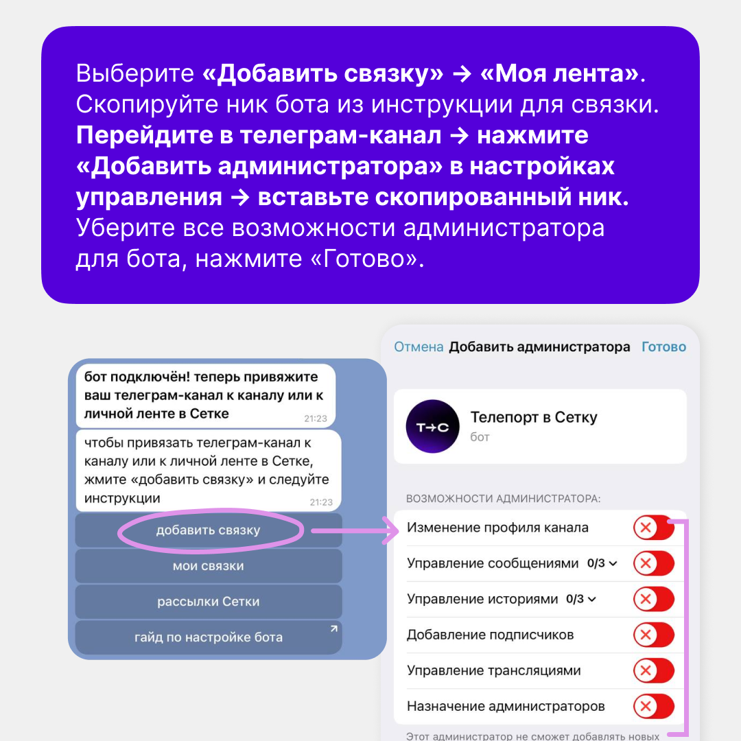 Обновили телепорт из Телеграма в Сетку | Сетка — социальная сеть от hh.ru