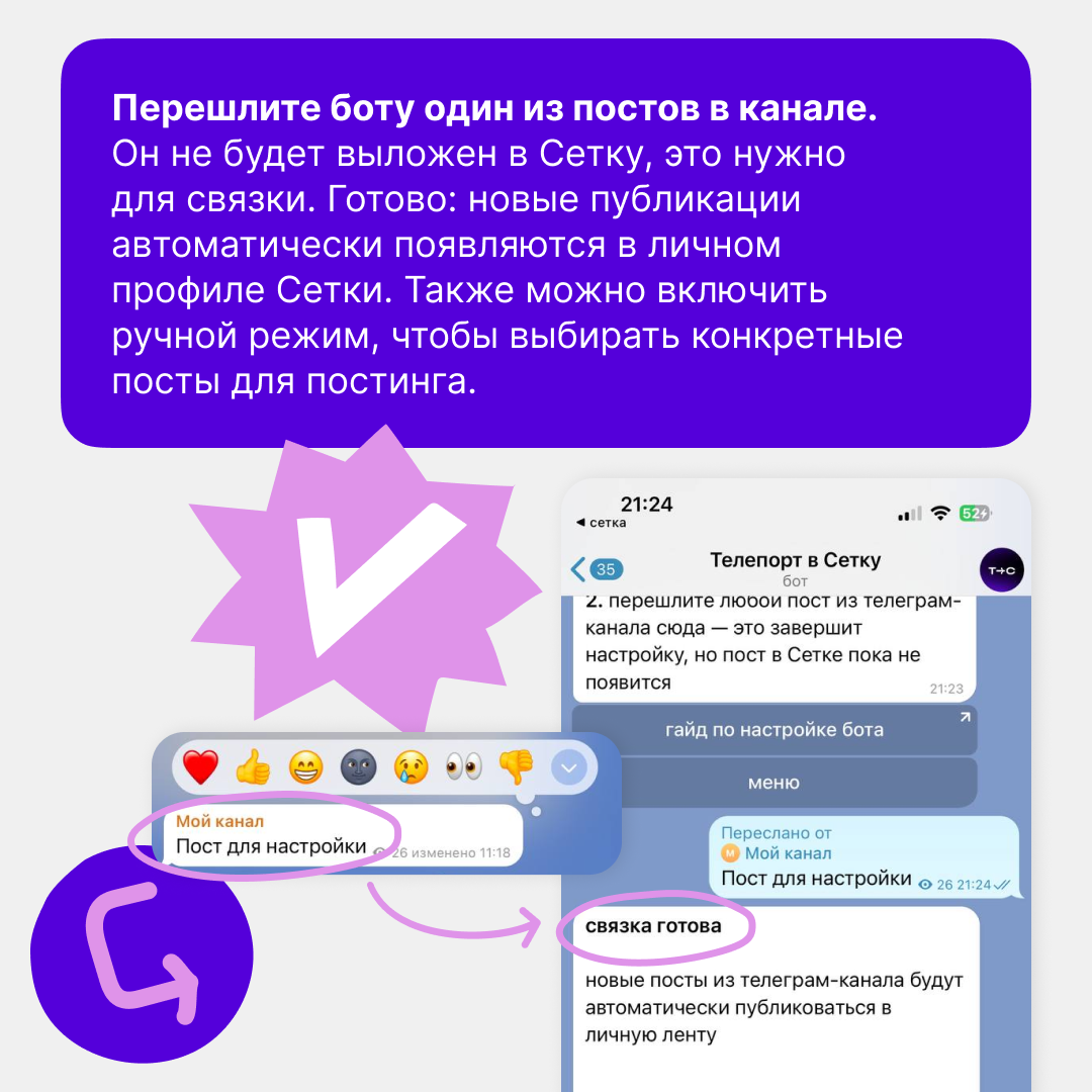 Обновили телепорт из Телеграма в Сетку | Сетка — социальная сеть от hh.ru