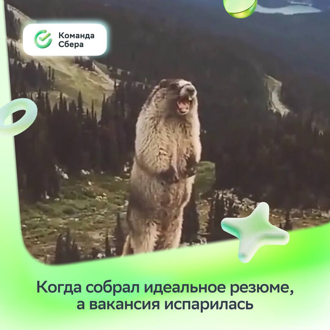 Не кричи, у нас есть новые вакансии специально для тебя 💚
Откликайся:
• Технический писатель https://s.sber.ru/b5vxpQ
• Старший клиентский менеджер https://s.sber | Сетка — социальная сеть от hh.ru