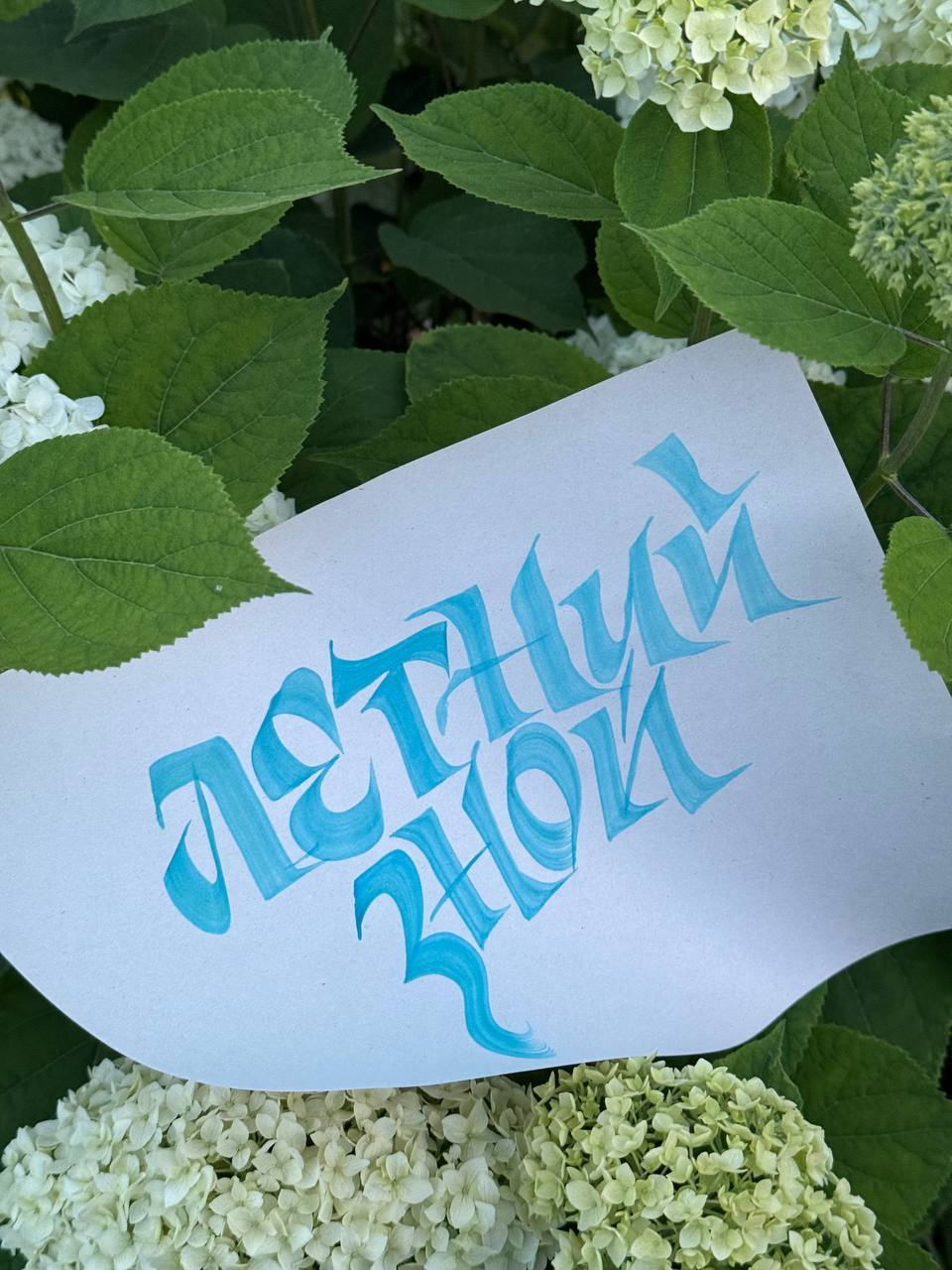 Прямой эфир закончился, а каллиграфия осталась ❤️‍🔥 | Сетка — социальная сеть от hh.ru