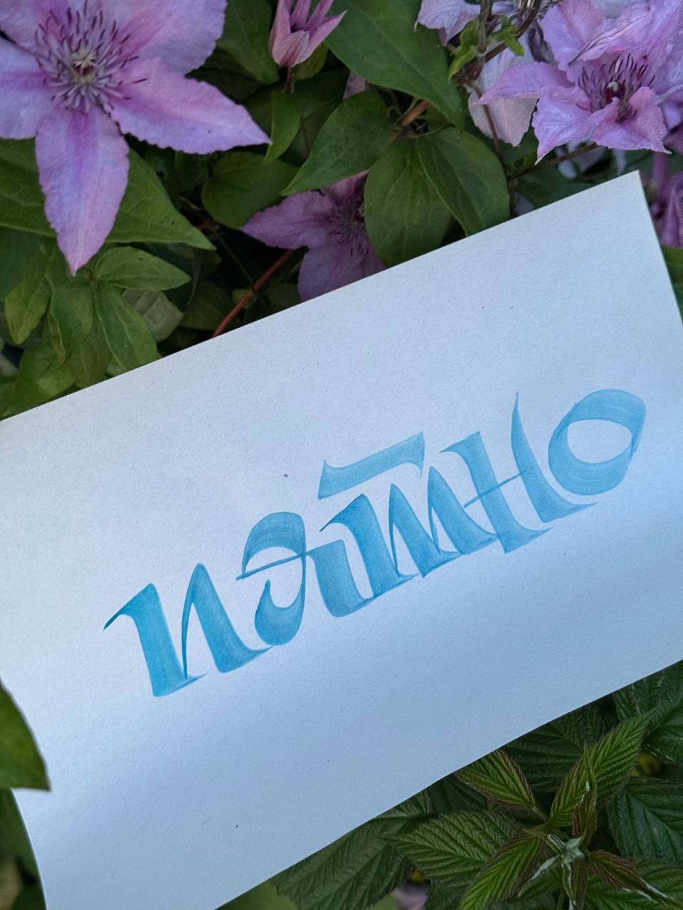 Прямой эфир закончился, а каллиграфия осталась ❤️‍🔥 | Сетка — социальная сеть от hh.ru