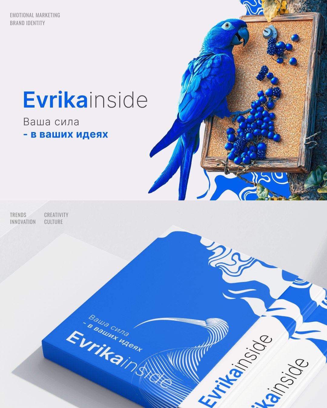 Кейс: EVRIKAINSIDE | Сетка — социальная сеть от hh.ru