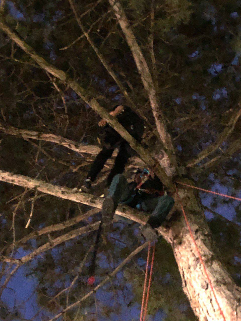 🌳 В Кисловодске спасатели помогли 11-летнему мальчику спуститься с дерева
В Кисловодске 11-летний мальчик забрался на дерево высотой восемь метров и не смог самостоятельно спуститься | Сетка — социальная сеть от hh.ru
