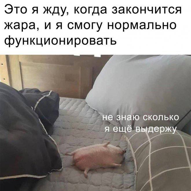 Как вы там?
Чем спасаетесь?
😉говорят, на этих или следующих выходных еще нашествие комаров запланировано. Держимся и не падаем духом 😵‍💫 | Сетка — социальная сеть от hh.ru