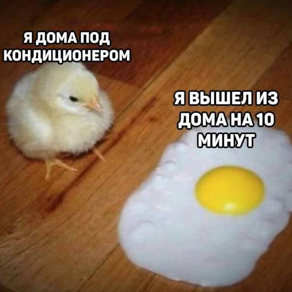 Как вы там?
Чем спасаетесь?
😉говорят, на этих или следующих выходных еще нашествие комаров запланировано. Держимся и не падаем духом 😵‍💫 | Сетка — социальная сеть от hh.ru