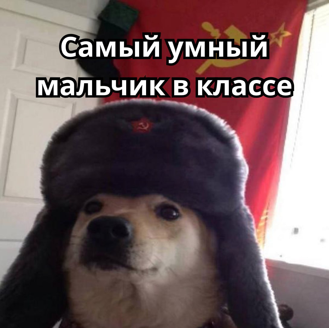 📝 КАК НАПИСАТЬ СОПРОВОДИТЕЛЬНОЕ ПИСЬМО, ЧТОБЫ ВЫДЕЛИТЬСЯ СРЕДИ ОСТАЛЬНЫХ КАНДИДАТОВ?
Большинство не пишет сопроводительное или отправляет отписку:
Здравствуйте! Меня зовут Вася Пупкин, хочу работать у... | Сетка — социальная сеть от hh.ru