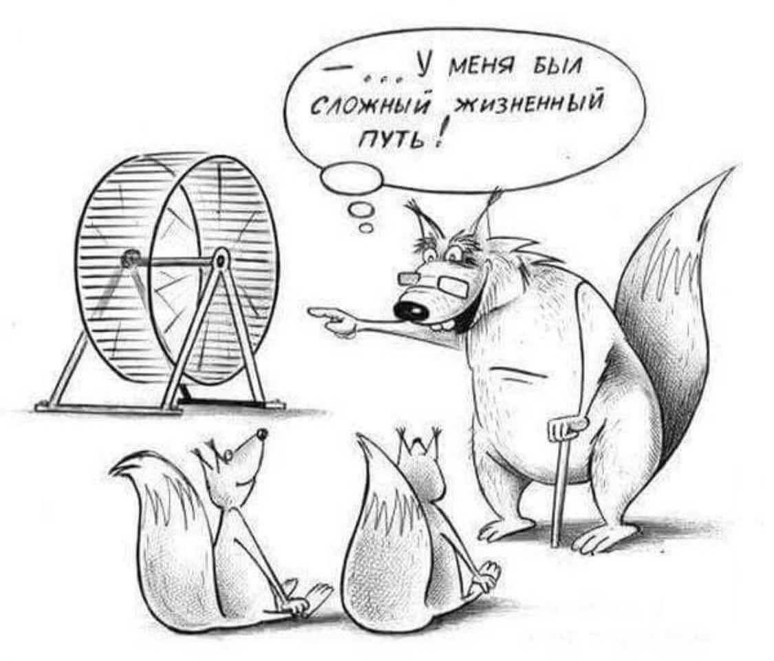 Крутите барабан 🌐😅👍 | Сетка — социальная сеть от hh.ru