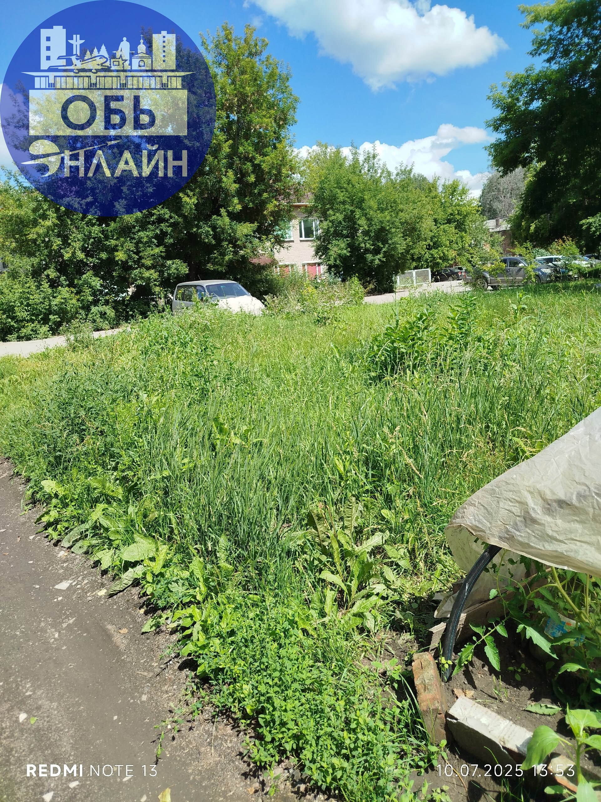 ↗ Здравствуйте,подскажите пожалуйста, с какой стороны, в этом дворе(судя по табличке)комфорт и благоустройство???
Ни одной лавочки нет, просто поросло всё бурьяном с человеческий рост, пройти не возмо... | Сетка — социальная сеть от hh.ru