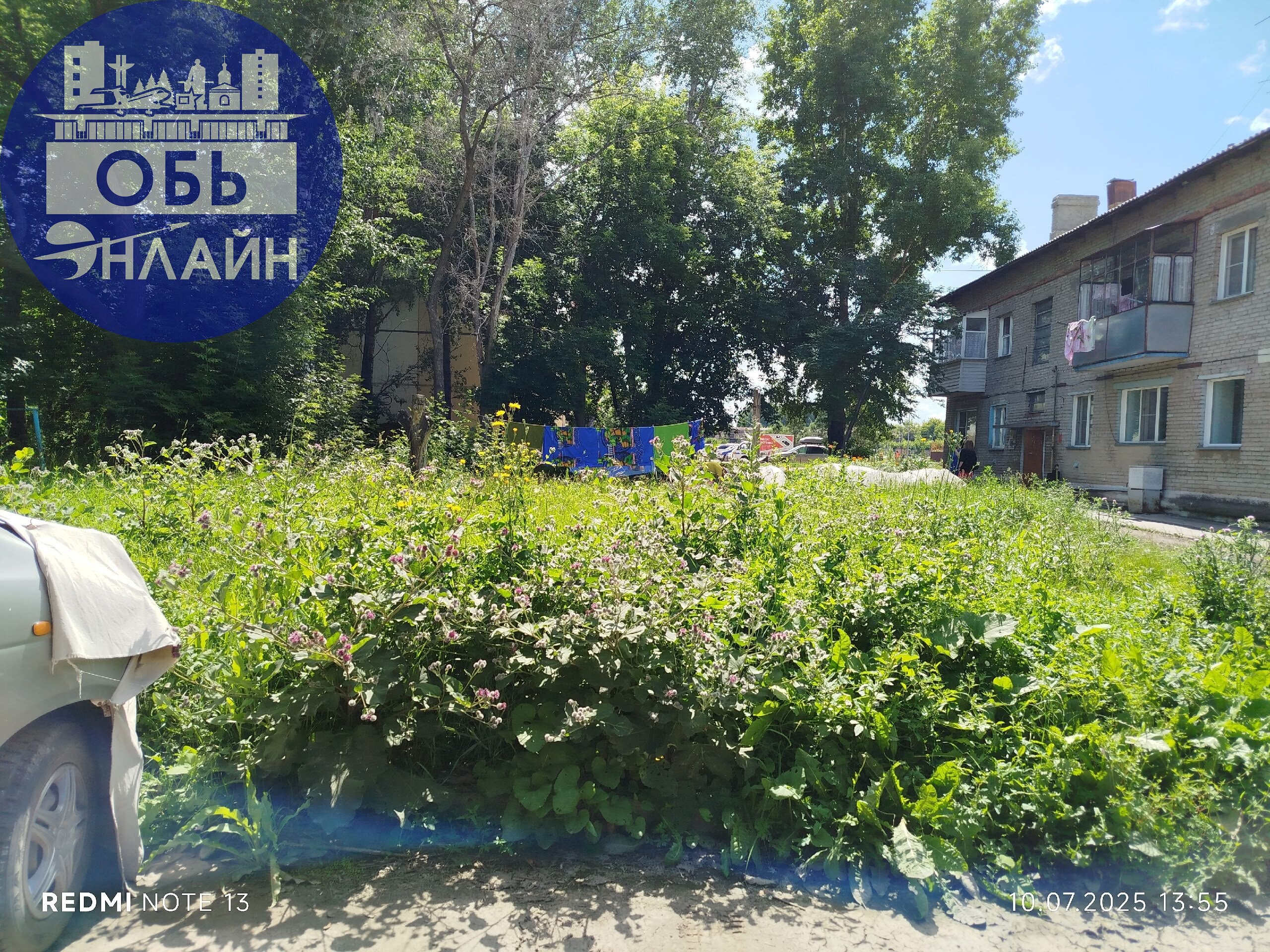 ↗ Здравствуйте,подскажите пожалуйста, с какой стороны, в этом дворе(судя по табличке)комфорт и благоустройство???
Ни одной лавочки нет, просто поросло всё бурьяном с человеческий рост, пройти не возмо... | Сетка — социальная сеть от hh.ru