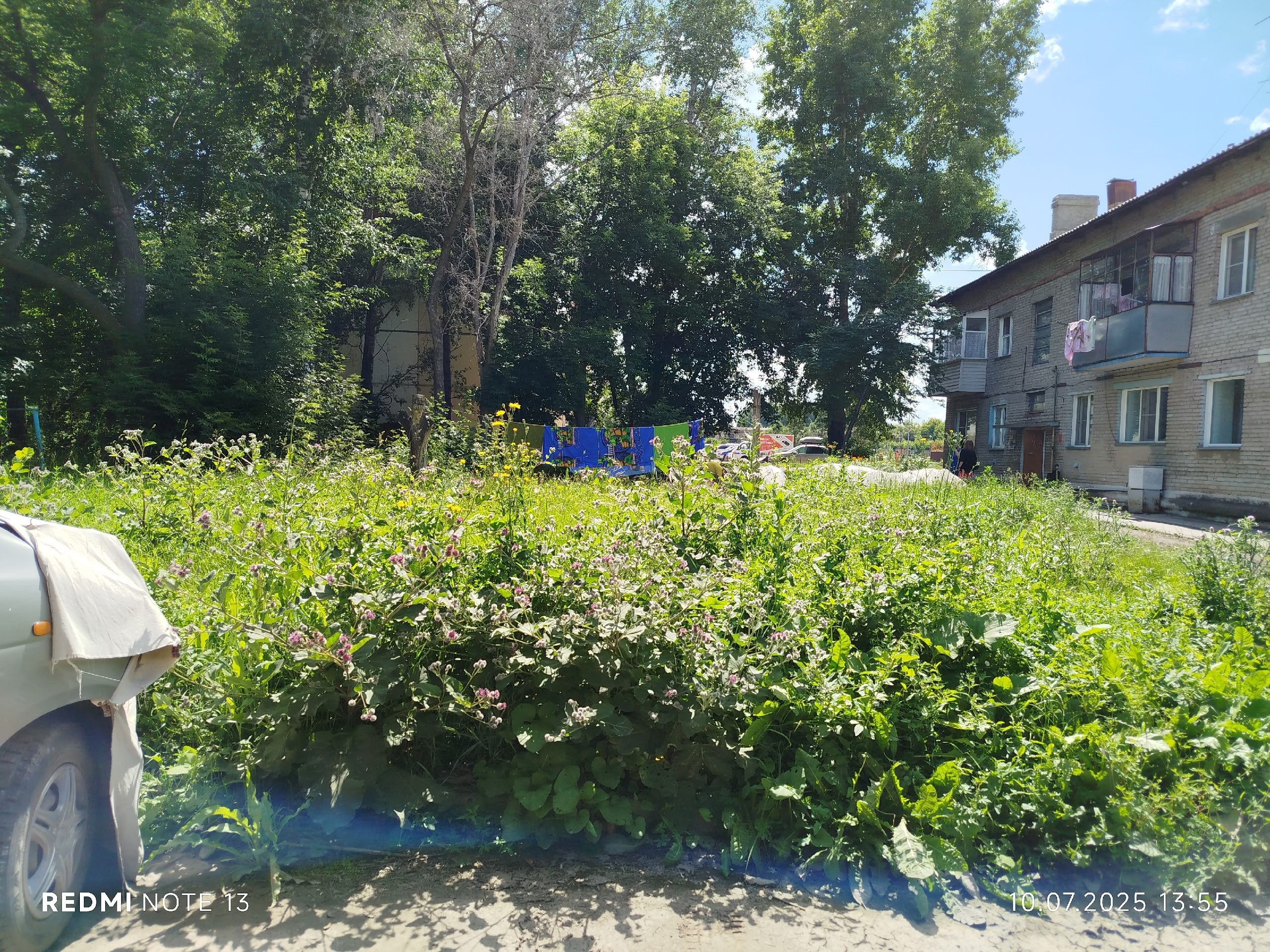 Здравствуйте,подскажите пожалуйста, с какой стороны, в этом дворе(судя по табличке)комфорт и благоустройство???
Ни одной лавочки нет, просто поросло всё бурьяном с человеческий рост, пройти не возможн... | Сетка — социальная сеть от hh.ru