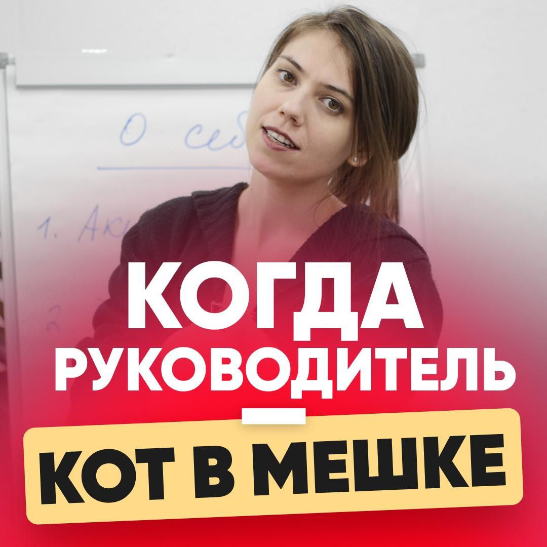 👀КОГДА РУКОВОДИТЕЛЬ — КОТ В МЕШКЕ | Сетка — социальная сеть от hh.ru