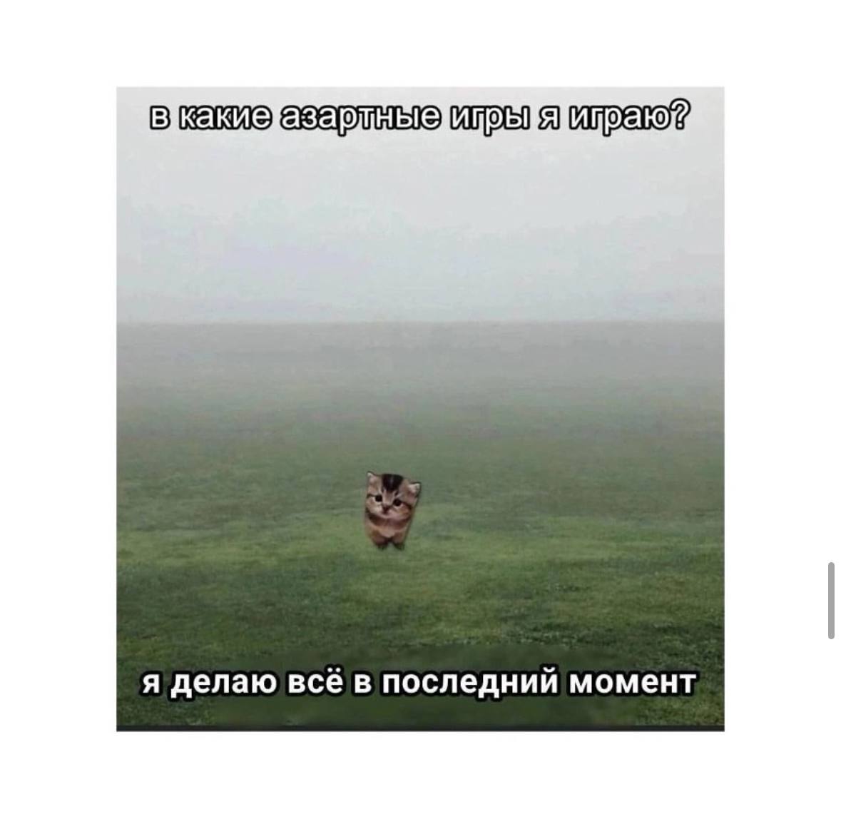 Объявляем официальный перерыв на посмеяться 😂 | Сетка — социальная сеть от hh.ru