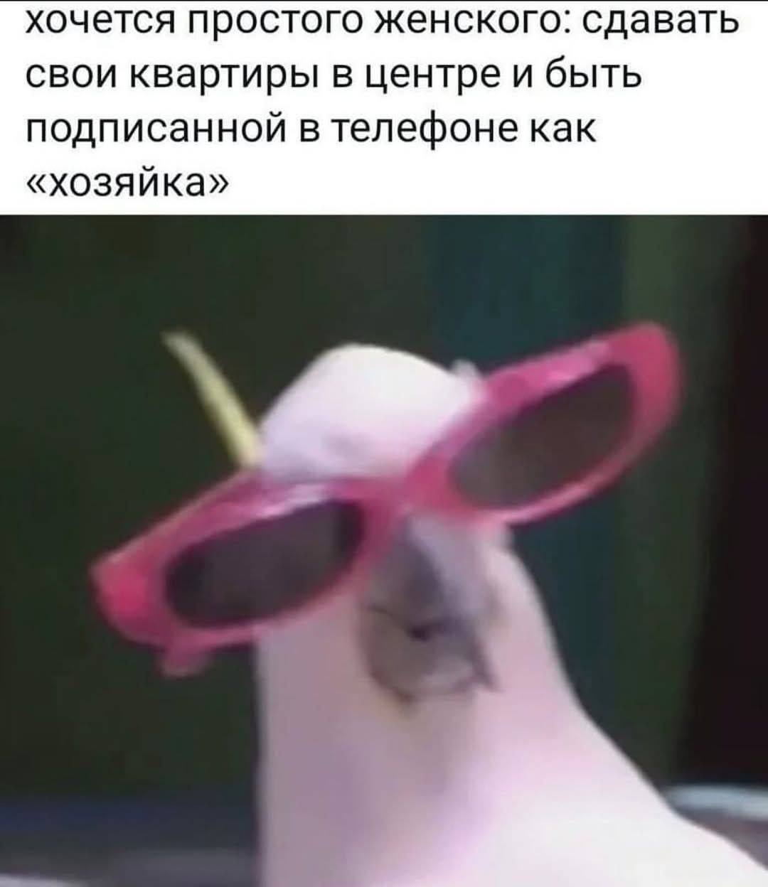 Муд недели 😂 | Сетка — социальная сеть от hh.ru