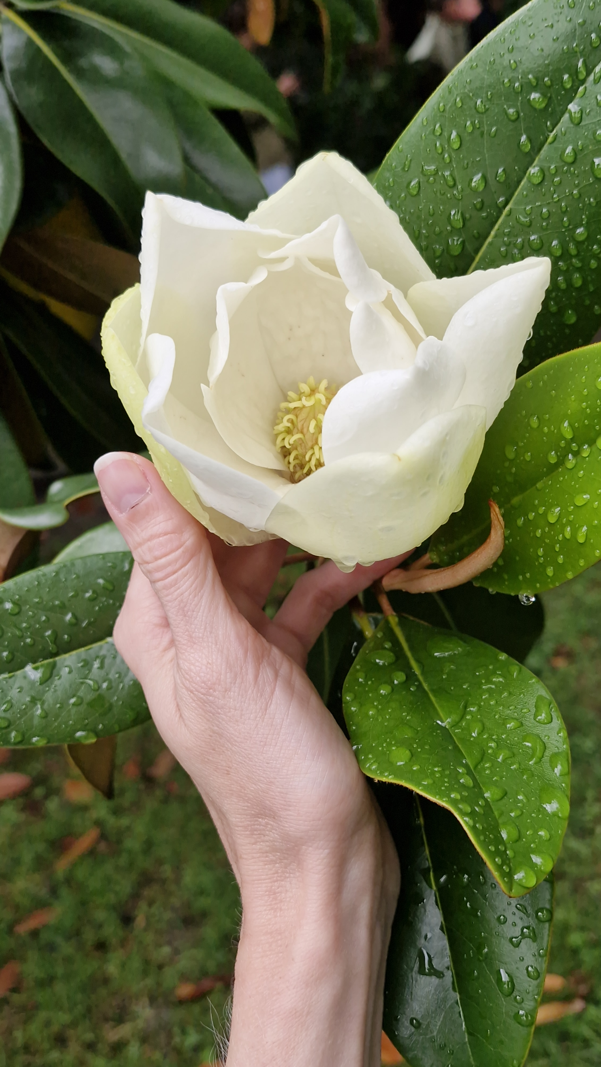 У ТЕБЯ НЕТ ПРАВА ВЫБОРА | Сетка — социальная сеть от hh.ru